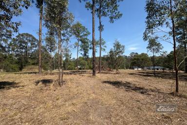 Residential Block For Sale - QLD - Glenwood - 4570 - BUILD, INVEST OR ESCAPE - ACREAGE LIVING AWAITS  (Image 2)