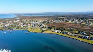 Residential Block For Sale - VIC - Port Albert - 3971 - SHELTERED AND PRIVATE LARGE RESIDENTIAL BLOCK!  (Image 2)