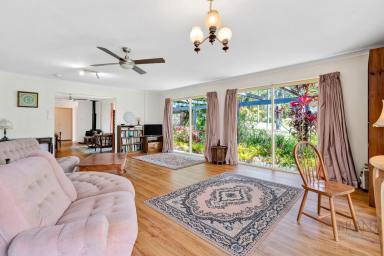 House For Sale - QLD - Witta - 4552 - Spacious Dual Living in Peaceful Witta, Minutes to Maleny!  (Image 2)