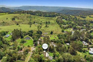 House For Sale - QLD - Witta - 4552 - Spacious Dual Living in Peaceful Witta, Minutes to Maleny!  (Image 2)