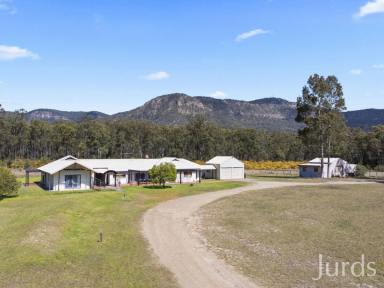 Lifestyle Auction - NSW - Pokolbin - 2320 - Prime Lifestyle/Commercial location  (Image 2)