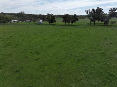 Acreage/Semi-rural Tender - NSW - Muttama - 2722 - PARADISE AWAITS  (Image 2)