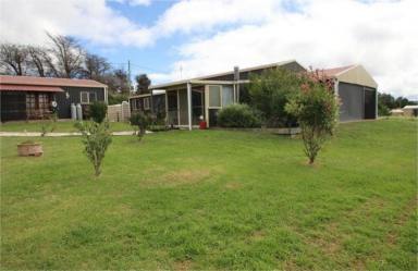 Acreage/Semi-rural For Lease - NSW - Tenterfield - 2372 - Rural property ..2km out of Tenterfield (Image 2)