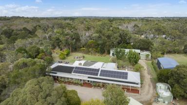 Acreage/Semi-rural For Sale - VIC - Bittern - 3918 - Versatile Country Home with Extensive Garaging  (Image 2)