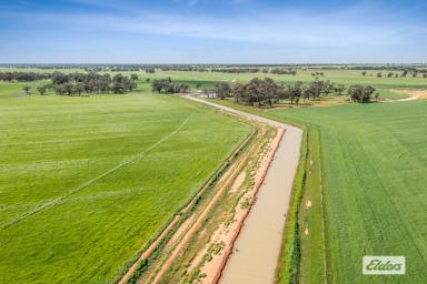 Cropping For Sale - VIC - Mysia - 3518 - Cropping, Fattening and Irrigation  (Image 2)