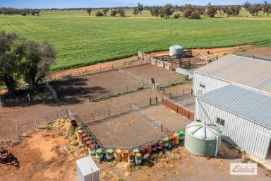 Cropping For Sale - VIC - Mysia - 3518 - Cropping, Fattening and Irrigation  (Image 2)