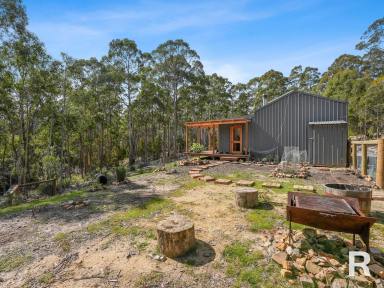 House For Sale - TAS - St Marys - 7215 - Off Grid Seclusion  (Image 2)