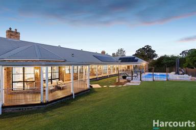 Acreage/Semi-rural For Sale - NSW - Bolwarra Heights - 2320 - Grand Luxurious Family Home – Exceptional Quality in Prestigious Hilldale Estate  (Image 2)