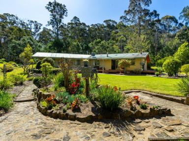 House For Sale - NSW - Kalaru - 2550 - PRIVATE RETREAT CLOSE TO THE BEACH  (Image 2)