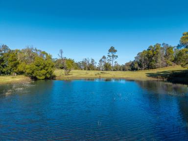 Residential Block For Sale - NSW - Browns Mountain - 2540 - Acreage with Coastal Views  (Image 2)