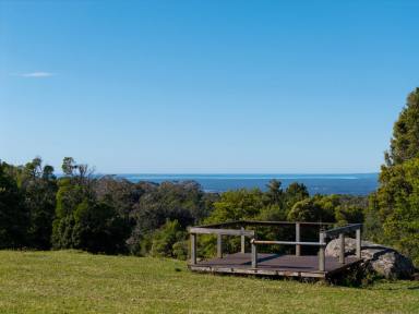 Residential Block For Sale - NSW - Browns Mountain - 2540 - Acreage with Coastal Views  (Image 2)