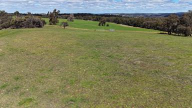 Mixed Farming For Sale - WA - Toodyay - 6566 - Mixed-use Farming Enterprise  (Image 2)