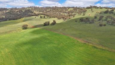 Mixed Farming For Sale - WA - Toodyay - 6566 - Mixed-use Farming Enterprise  (Image 2)