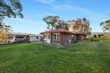 Acreage/Semi-rural For Sale - NSW - Far Meadow - 2535 - Rural Lifestyle with Equestrian Facilities  (Image 2)