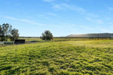 Acreage/Semi-rural For Sale - NSW - Far Meadow - 2535 - Rural Lifestyle with Equestrian Facilities  (Image 2)
