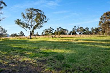 Acreage/Semi-rural For Sale - NSW - Far Meadow - 2535 - Rural Lifestyle with Equestrian Facilities  (Image 2)