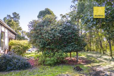 House For Sale - WA - Jarrahwood - 6275 - Leasehold Cottage in Jarrahwood  (Image 2)