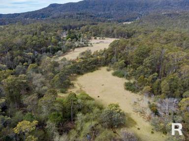 Residential Block For Sale - TAS - Gray - 7215 - Pasture, Bush, Water & Wood  (Image 2)