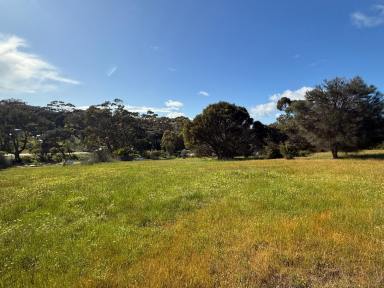 Residential Block For Sale - SA - American River - 5221 - 2 build ready blocks (1100 m2 approx.) 2 min drive to the boat ramp and Pelican Lagoon. Lovely country views. Peace, nature and space.  (Image 2)