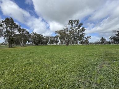 Cropping For Sale - SA - Hynam - 5262 - Lot 4 Hynam Caves Road, Naracoorte  (Image 2)