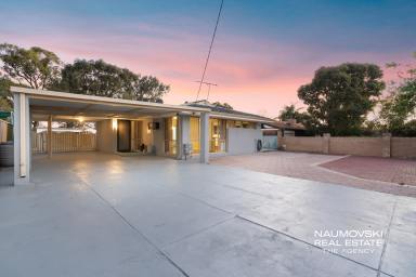 House For Sale - WA - Hamersley - 6022 - Big Block. Big Potential. Big Lifestyle.  (Image 2)