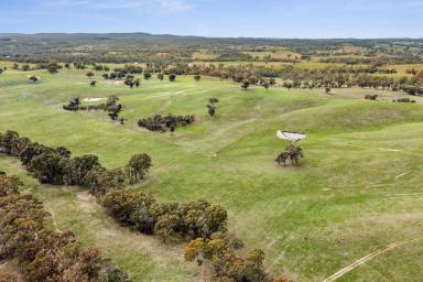 Mixed Farming For Sale - VIC - Mia Mia - 3444 - Prime Lifestyle Acreage  (Image 2)