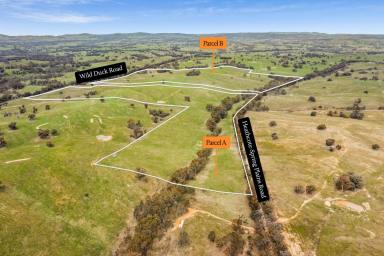 Mixed Farming For Sale - VIC - Mia Mia - 3444 - Prime Lifestyle Acreage  (Image 2)