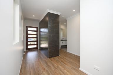 House For Lease - QLD - Mount Peter - 4869 - Modern Luxury - Ex Display Home - Full AC - Solar  (Image 2)