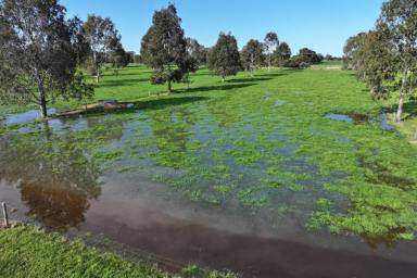 Dairy Auction - VIC - Bamawm Extension - 3564 - QUALITY HOME & IMPROVEMENTS WITH BEAUTIFUL LOAM SOILS  (Image 2)