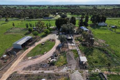 Dairy Auction - VIC - Bamawm Extension - 3564 - QUALITY HOME & IMPROVEMENTS WITH BEAUTIFUL LOAM SOILS  (Image 2)