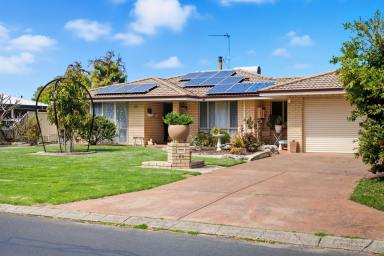 House For Sale - WA - West Busselton - 6280 - Coastal Charm Meets Everyday Convenience (Image 2)