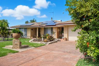 House For Sale - WA - West Busselton - 6280 - Coastal Charm Meets Everyday Convenience  (Image 2)