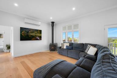 Acreage/Semi-rural For Sale - NSW - Jaspers Brush - 2535 - Hillview  (Image 2)