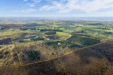 Cropping Auction - NSW - Gurrundah - 2581 - Your next weekend escape!  (Image 2)