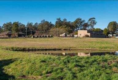 House Sold - TAS - Exeter - 7275 - 4 Bedroom Home  (Image 2)
