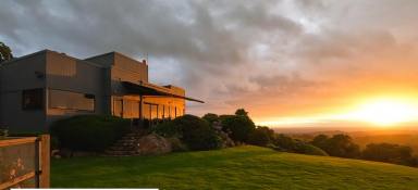 Lifestyle Auction - NSW - Foxground - 2534 - 'Eagleview Park' - A Once-in-a-Lifetime and Farming Estate in Foxground  (Image 2)