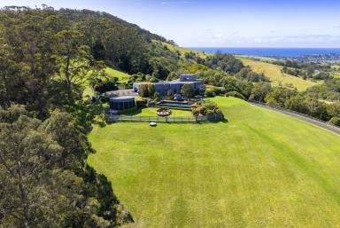 Lifestyle For Sale - NSW - Foxground - 2534 - 'Eagleview Park' - A Once-in-a-Lifetime and Farming Estate in Foxground  (Image 2)