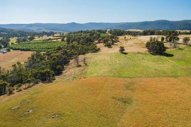 Lifestyle For Sale - NSW - Tumbarumba - 2653 - A RURAL LIFESTYLE WITH AN INCOME  (Image 2)