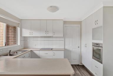 Unit Leased - QLD - Drayton - 4350 - Modern Low Maintenance Unit in Drayton  (Image 2)