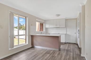 Unit Leased - QLD - Drayton - 4350 - Modern Low Maintenance Unit in Drayton  (Image 2)