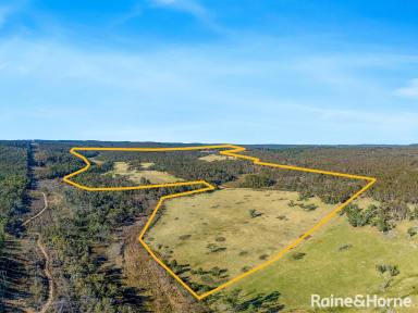 Lifestyle For Sale - NSW - Sutton Forest - 2577 - 500 Acres with Subdivision Potential (STCA), Spring Water & Biodiversity Credits  (Image 2)