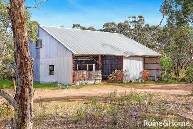 Lifestyle For Sale - NSW - Sutton Forest - 2577 - 500 Acres with Subdivision Potential (STCA), Spring Water & Biodiversity Credits  (Image 2)