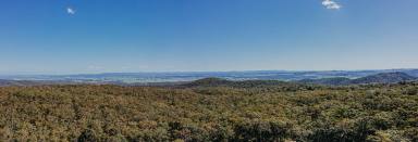 Other (Rural) For Sale - NSW - Duns Creek - 2321 - Rugged Beauty  (Image 2)
