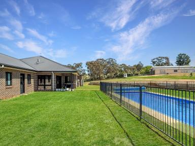 House For Sale - NSW - Young - 2594 - Modern Family Lifestyle on 11 Acres – Pool, Shedding & Horse Facilities  (Image 2)