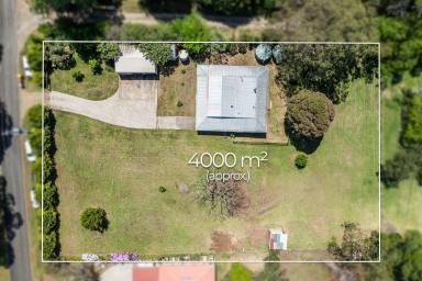 House For Sale - QLD - Witta - 4552 - Calm Country Life on One Acre in the Heart of Witta!  (Image 2)
