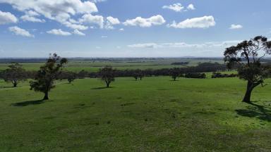 Farmlet For Sale - VIC - Yeo - 3249 - STUNNING COLAC – OTWAY FOOTHILLS DISTRICT COUNTRY  (Image 2)