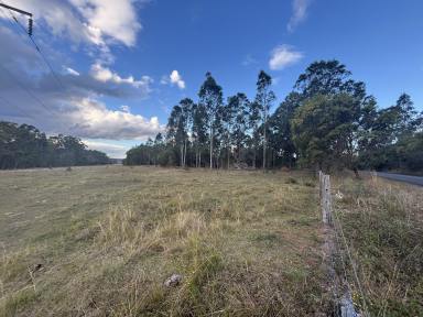 Lifestyle Sold - NSW - Shannondale - 2460 - OFF MARKET SUCCESS - 100 ACRE VACANT LOT  (Image 2)