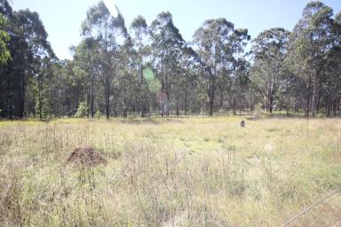 Lifestyle Sold - NSW - Shannondale - 2460 - OFF MARKET SUCCESS - 100 ACRE VACANT LOT  (Image 2)