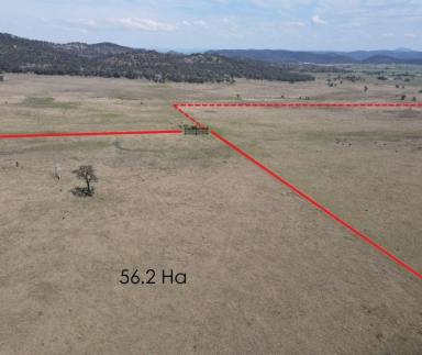 Livestock For Sale - NSW - Muswellbrook - 2333 - 56.2 Ha. OPEN GRAZING PADDOCK WITH DAM AND SPRING WATER APPROX
28 KM FROM MUSWELLBROOK  (Image 2)