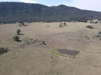 Livestock For Sale - NSW - Muswellbrook - 2333 - 56.2 Ha. OPEN GRAZING PADDOCK WITH DAM AND SPRING WATER APPROX
28 KM FROM MUSWELLBROOK  (Image 2)